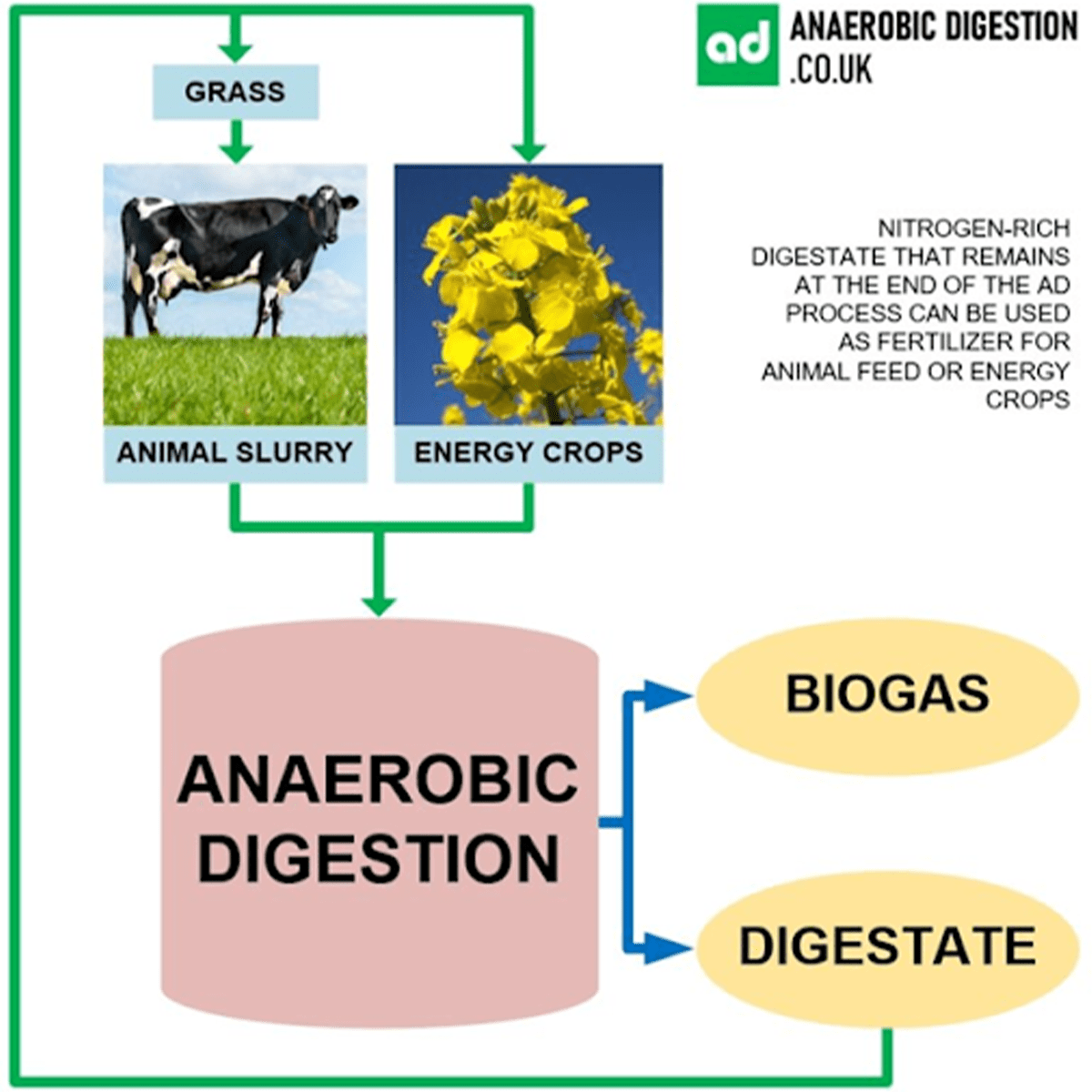 Diagram of anaerobic-digestion process