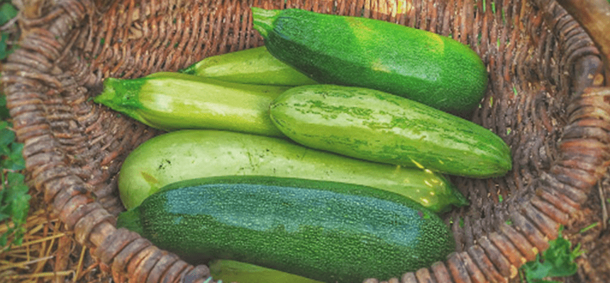 green vegetables in basket